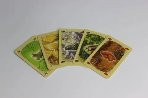 CATAN OSADNICY Z CATANU PODSTAWOWA na Arena.pl