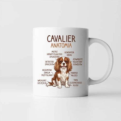 Cavalier – anatomia - kubek na prezent na Arena.pl