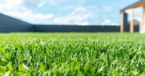 Nawóz wieloskładnikowy Polifoska 6 trawa thuje krzewy granulat 25 kg na Arena.pl