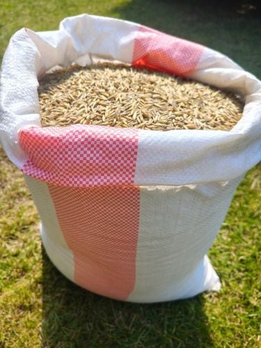 OWIES PASZOWY ZIARNO WOREK 20KG na Arena.pl
