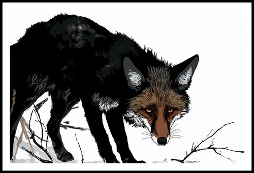 Plakat 91,5x60cm Nieufny Lis na Arena.pl