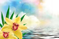 FOTOTAPETA STORCZYK ŻÓŁTY WODA WYSTRÓJ 200x130