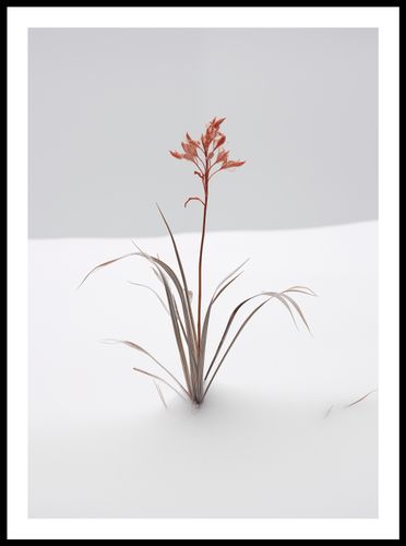 Plakat 50x70cm Subtelność Natury na Arena.pl