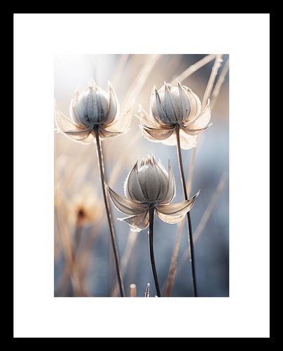 Plakat 13x18cm Poetycka Jesień na Arena.pl