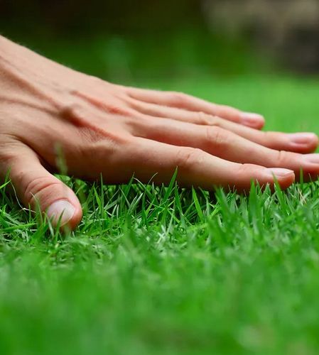 Antymech Siarczan Żelaza Nawóz do Trawy Trawnika Usuwa Mech 7H2O 10kg na Arena.pl