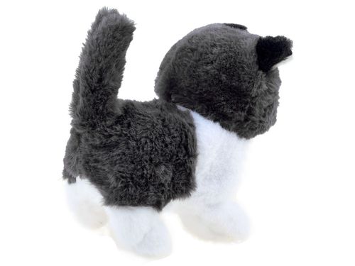 KOTEK PSOTEK INTERAKTYWNY SZUKA MAMY na Arena.pl