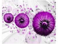 40CM 50CM OBRAZEK ŚCIENNY FIOLETOWE DMUCHAWCE 5 DRUK PŁÓTNO OBRAZ