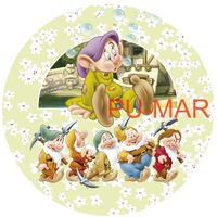 Opłatek na tort Księżniczka Śnieżka Aurora Zosia Bella Kopciuszek