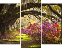 product-compare-58672533