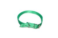 A-011 OBROŻA DLA PSA TAŚMA 25MM 44-59CM Kolor - Zielony