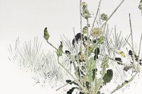 Plakat 60x40cm Wild Dandelions, Seitei Japoński Vintage