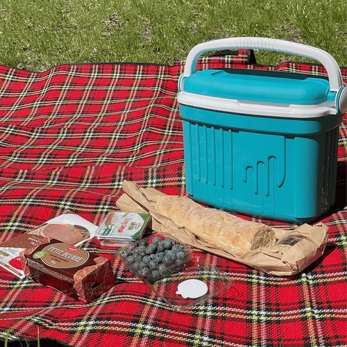 LODÓWKA TURYSTYCZNA 8L na WKŁADY MROŻĄCE do auta piknik WYCIECZKA kemping na Arena.pl