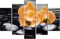 100CM 150CM OBRAZ 5 ELEM POMARAŃCZOWE STORCZYKI ŚCIENNY