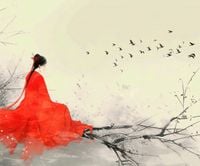 Plakat 60x50cm Diva Na Gałęzi