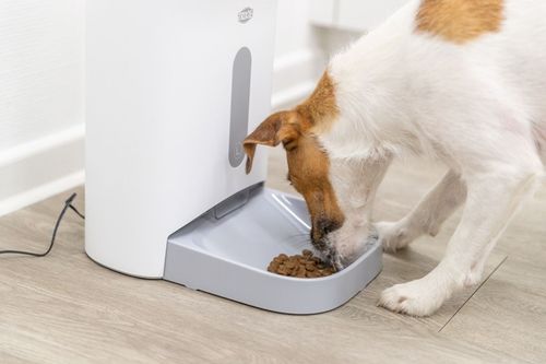 TRIXIE TX8 automat podajnik dozownik karmy automatyczny miska dla psa kota na Arena.pl