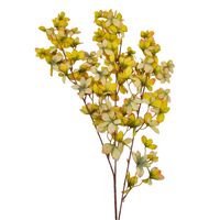 product-compare-61190699