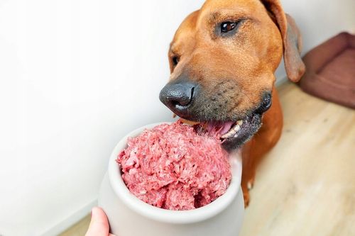 BARF WOŁOWY MIĘSO MROŻONE SUROWE DLA PSA 10 KG ZK WOŁOWE WOŁOWINA na Arena.pl