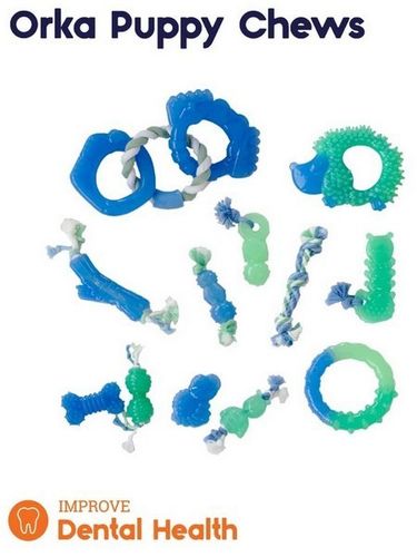 Petstages Dentalinks PS68116 na Arena.pl
