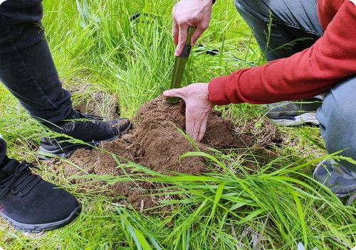 WYKRYWACZ METALI DETEKTOR METALU PINPOINTER COBRA TECTOR na Arena.pl