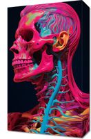 Obraz 30x50cm Anatomia Koloru