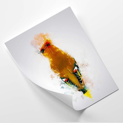 Plakat, Brązowy ptak 50x70 na Arena.pl