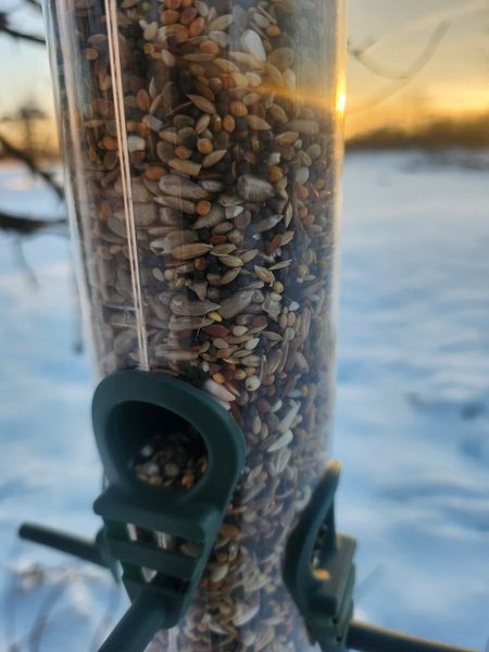 Karmnik dla ptaków na zimę zdjęcie 7