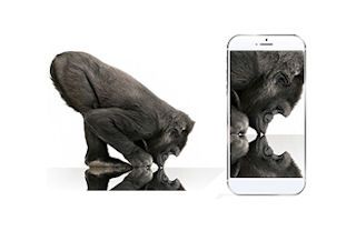 Telefon Manta Rocky 3 Pro MSP95021 na Arena.pl