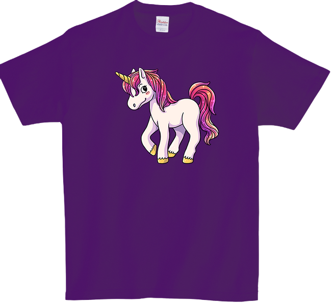Koszulka T-shirt Jednorożec zdjęcie 1