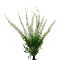 Bukiecik wrzos biały