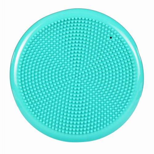 PODUSZKA SENSOMOTORYCZNA REHABILITACYJNA MASUJĄCA na Arena.pl