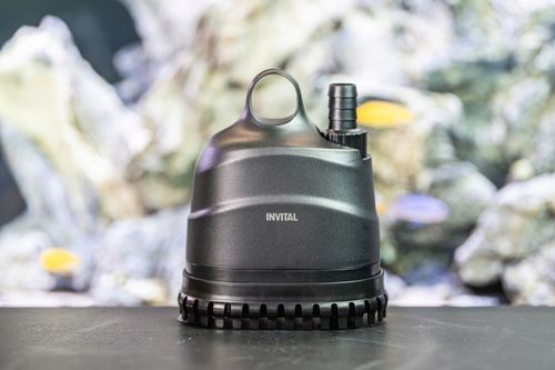 INVITAL pompa z dolnym wlotem 2500 l/h 3m na Arena.pl