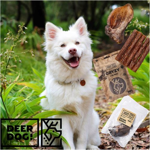 Deer Dog gryzak mięso z dzika 100g na Arena.pl