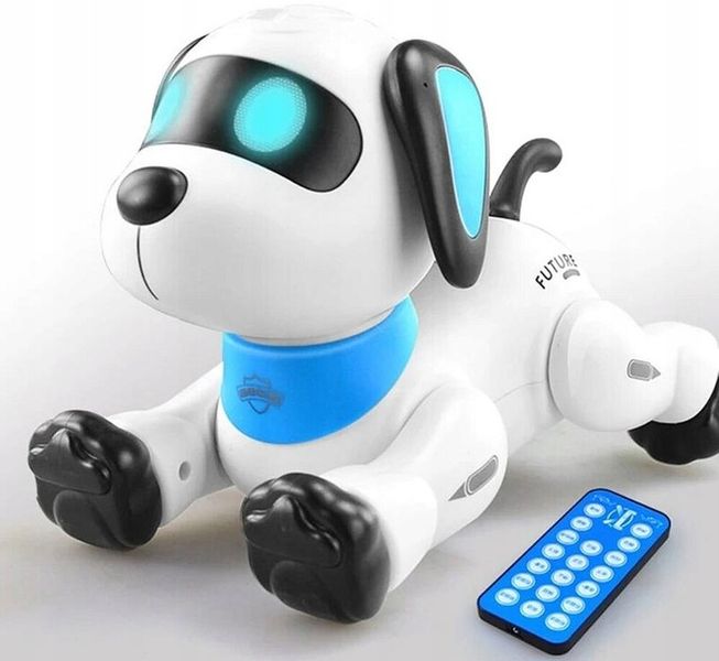 PIESEK ROBOT ZDALNIE STEROWANY PROGRAMOWANY KOMENDY USB zdjęcie 6