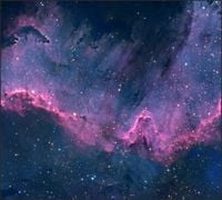 Tło do fotografii produktowej kulinarnej Flat Lay