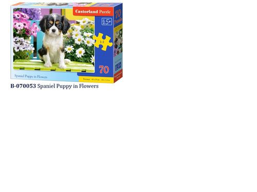 Castorland urocze Puzzle 70 elem. CA0003 na Arena.pl