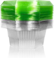 Kołnierze Przeciw Ślimakom 20 Sz 24 cm Ochrona Roślin Warzyw Przezroczyste