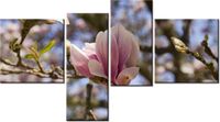 100 55CM OBRAZ 4 ELEM KWITNĄCE MAGNOLIE PŁÓTNO DRUK