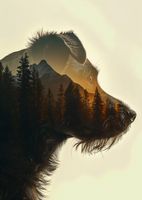 Plakat 67,5x95cm Psi Duch Lasu