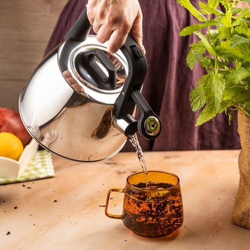 czajnik stalowy z gwizdkiem 2,5l klausberg kb-7914 na Arena.pl