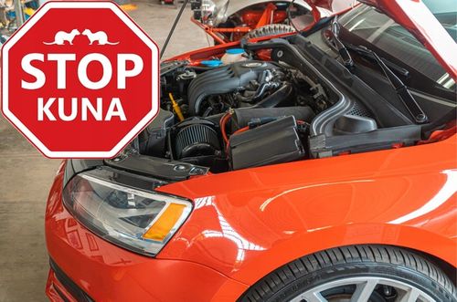 ODSTRASZACZ KUN SKUTECZNY NA ALLEGRO ŚRODEK NA KUNY DO SAMOCHODU na Arena.pl