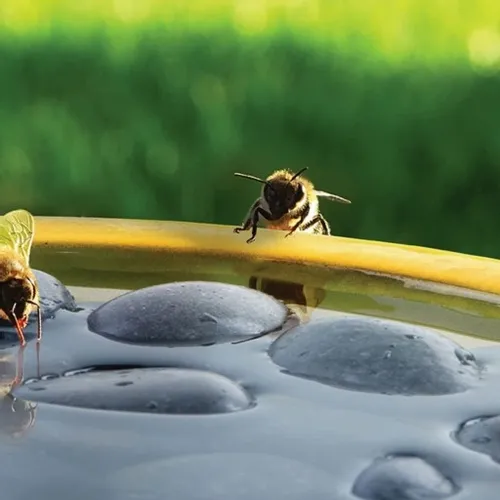 Stylowe poidło do ogrodu DLA OWADÓW PSZCZÓŁ żółte na Arena.pl