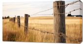 Obraz 90x50cm Płot na Polu