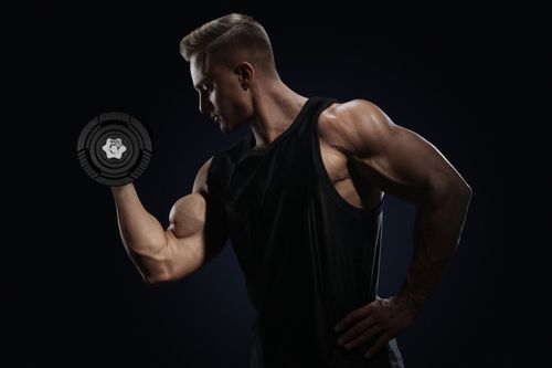 Hantle Żeliwne Regulowane 2x15kg Abarqs 30KG na Arena.pl