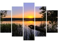 product-compare-58695076