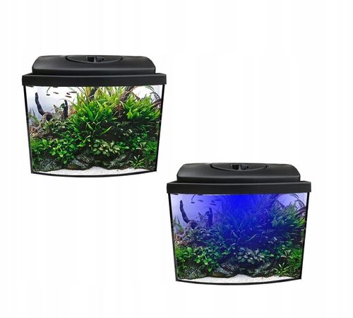 Zestaw 25l owalny LED 1W + wyposażenie Dzień I Noc na Arena.pl