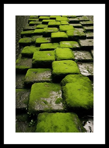 Plakat 20x30cm Zielona Mozaika na Arena.pl