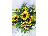 product-compare-58704191