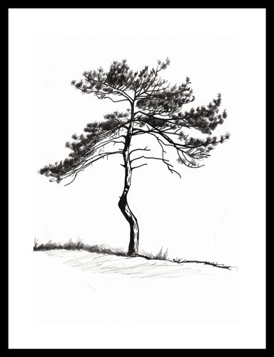 Plakat 25x35cm Samotna Sosna na Arena.pl