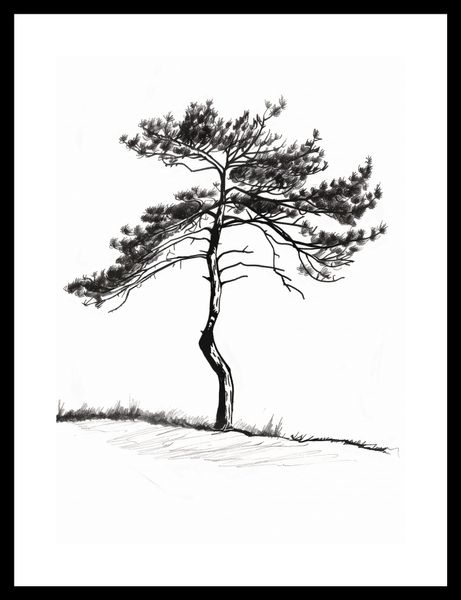 Plakat 25x35cm Samotna Sosna zdjęcie 3