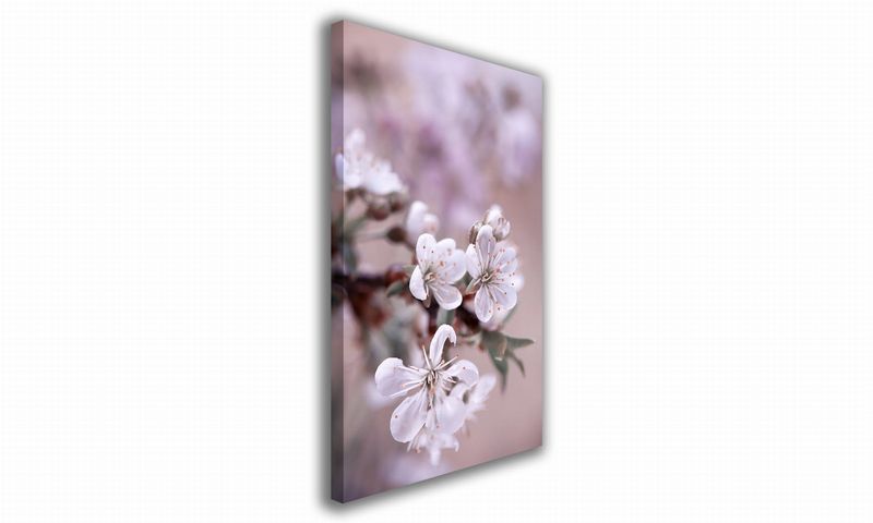 OBRAZ NA PŁÓTNIE 050 Kwiaty 40x60cm zdjęcie 1